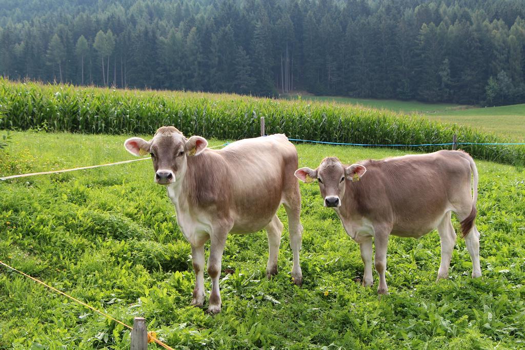 Spisserhof Klausen Exteriör bild