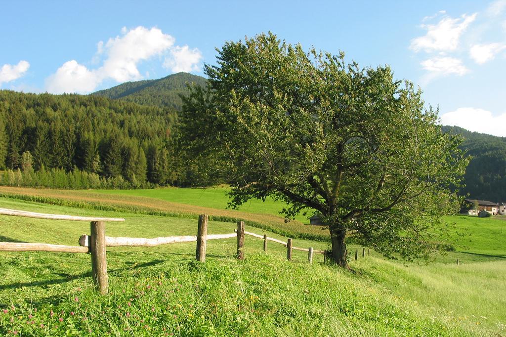 Spisserhof Klausen Exteriör bild